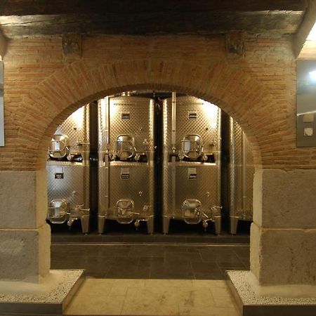 Chateau Le Rosey Hotel Nyon Buitenkant foto