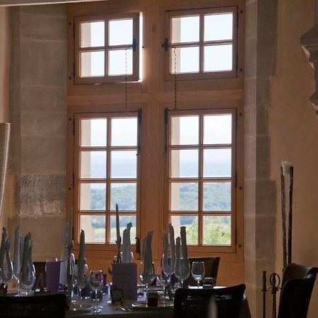 Chateau Le Rosey Hotel Nyon Buitenkant foto