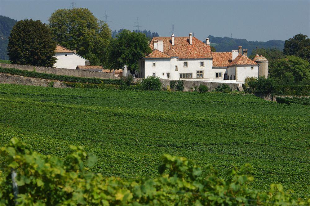 Chateau Le Rosey Hotel Nyon Buitenkant foto