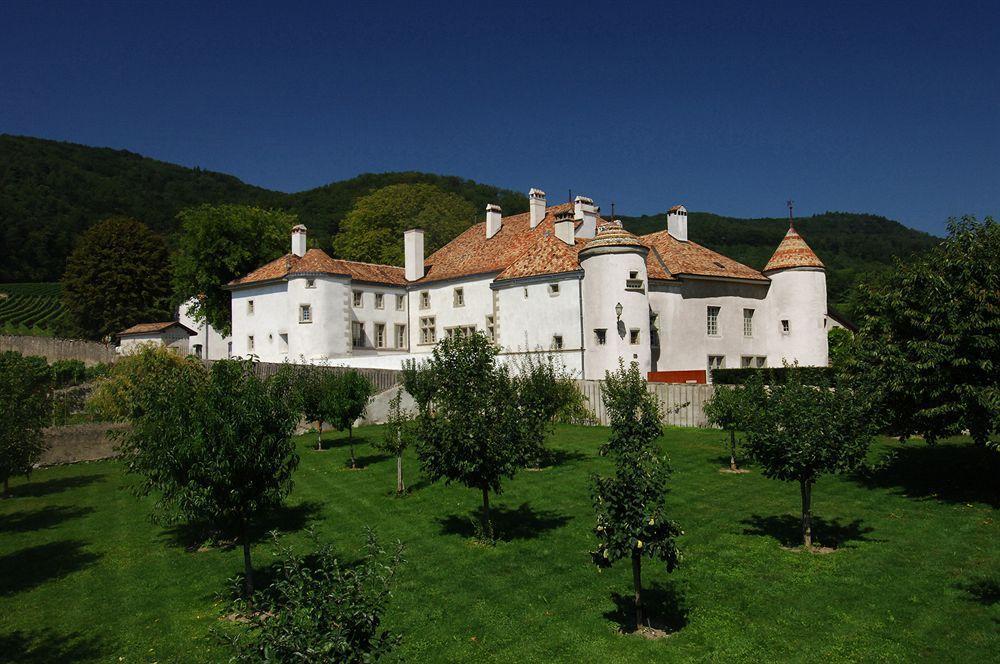 Chateau Le Rosey Hotel Nyon Buitenkant foto