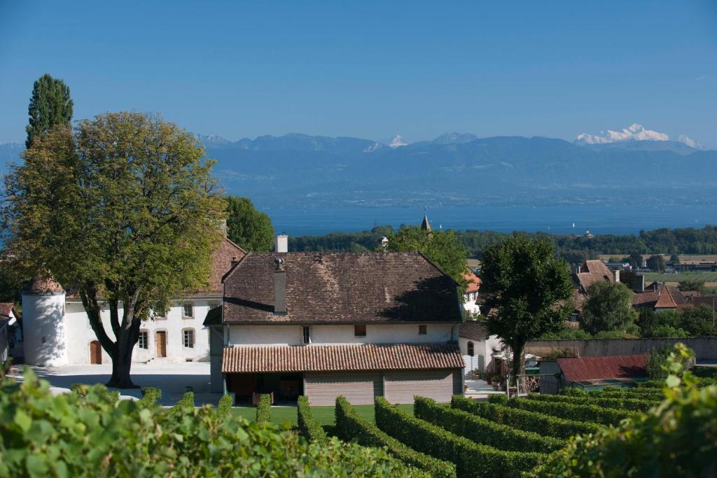 Chateau Le Rosey Hotel Nyon Buitenkant foto