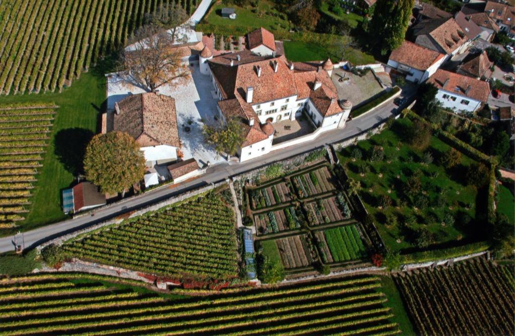 Chateau Le Rosey Hotel Nyon Buitenkant foto